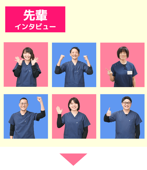 先輩インタビュー