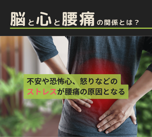脳と心と腰痛の関係とは