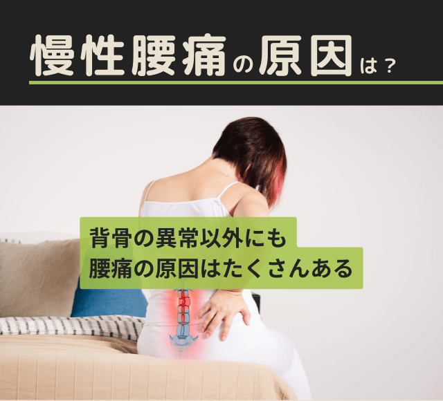 慢性腰痛の原因は